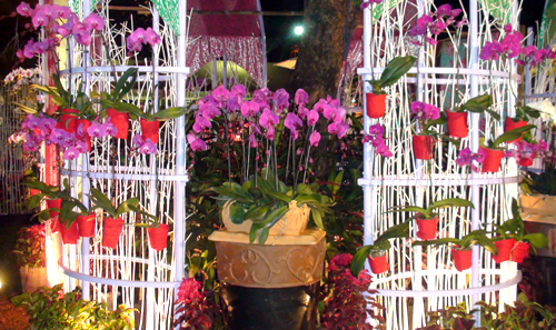 Eröffnung des Blumenfestivals Neujahr 2012